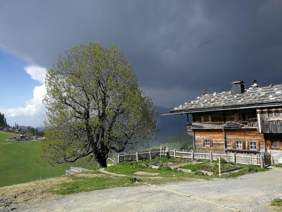 Alpenblick * Soll