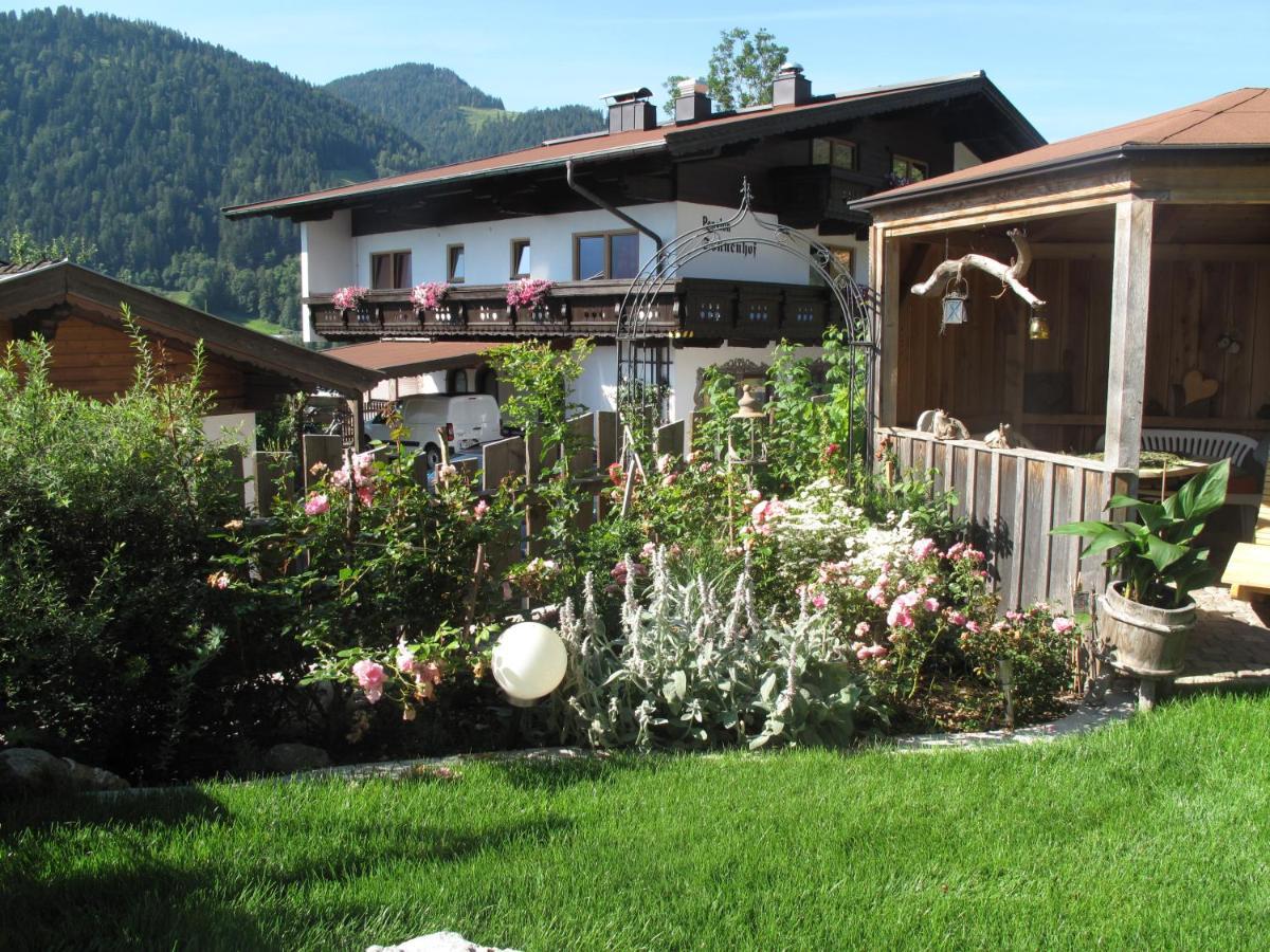 Alpenblick Apartment