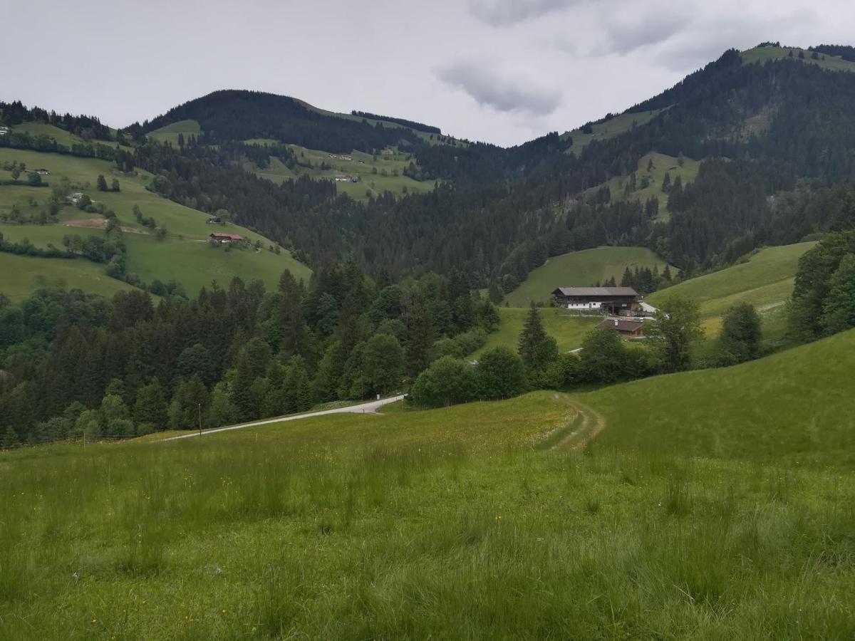 Alpenblick Apartment Soll