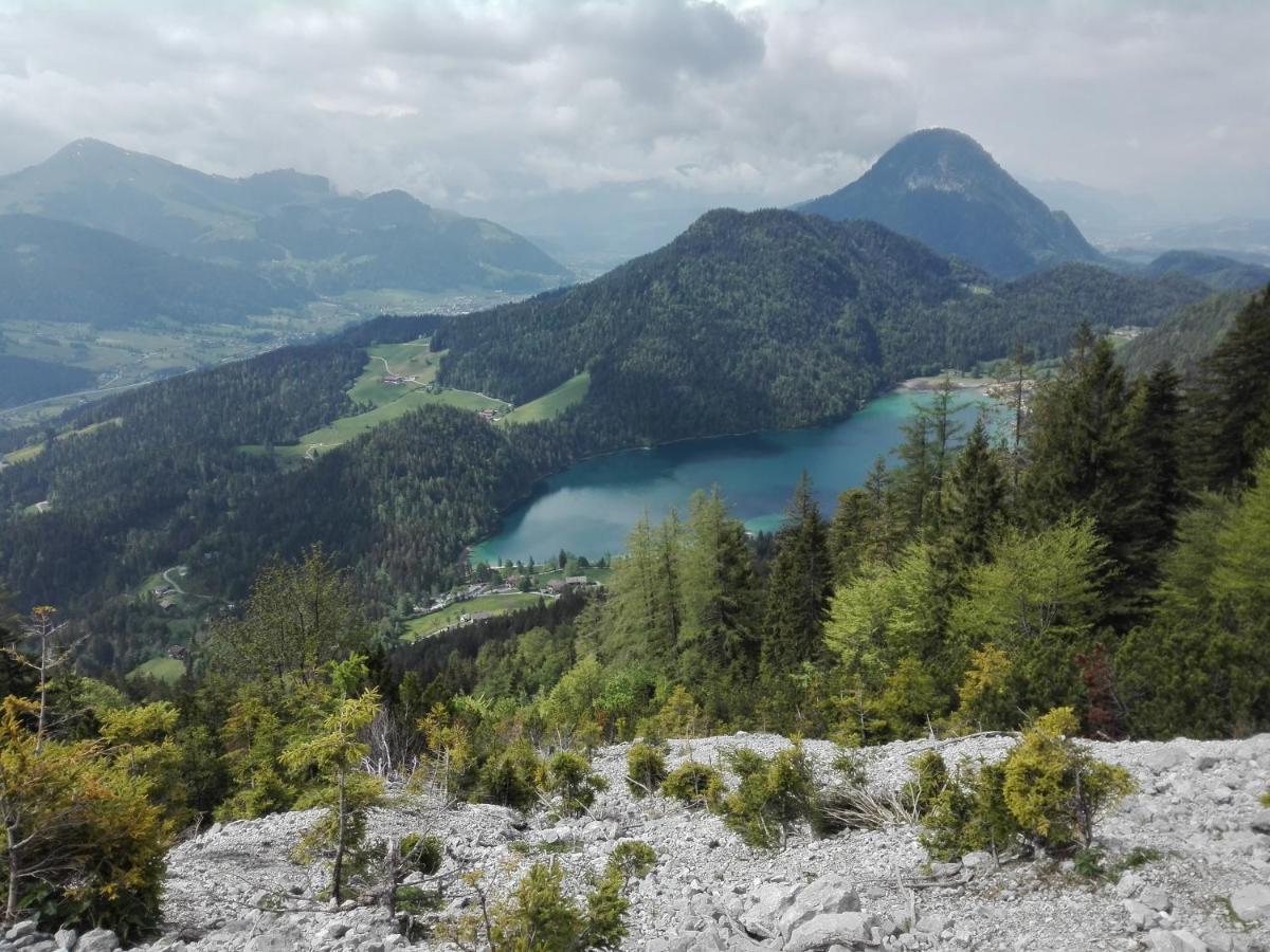 Alpenblick Apartment *